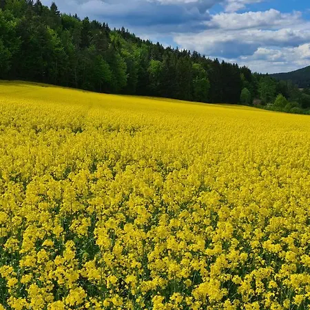 Senses Hirschbach (Bavaria)