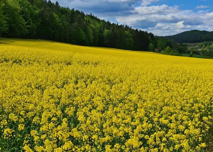 Senses Hirschbach (Bavaria)